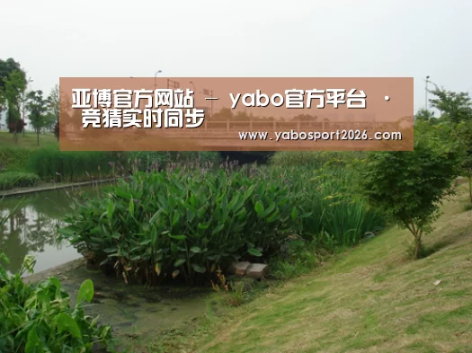 案例展示四(图1)