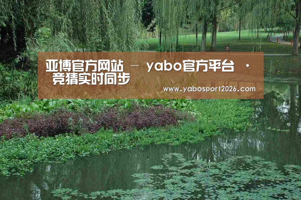 案例展示一(图1)