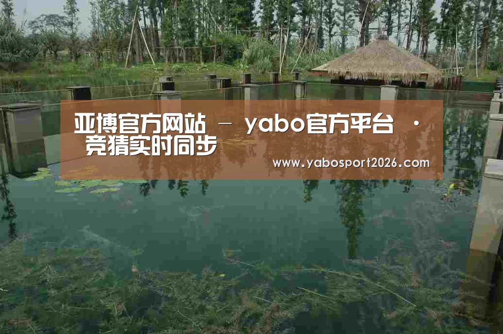 案例展示二(图1)