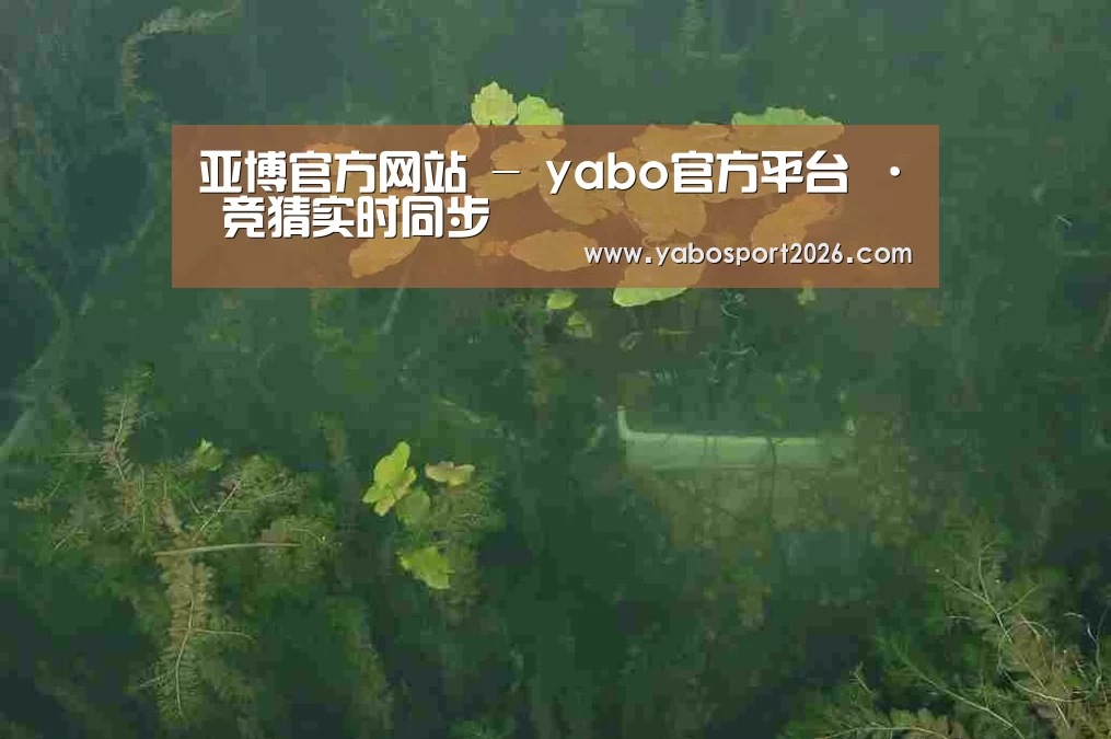 案例展示三
