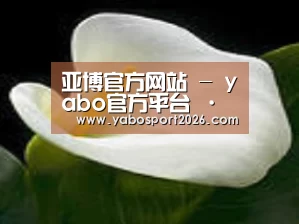 产品名称七
