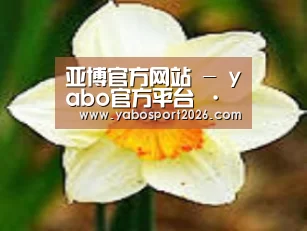产品名称四