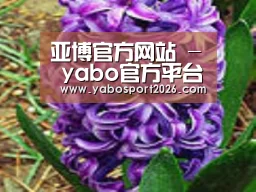 产品名称八