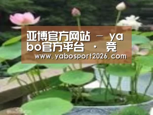 产品名称一