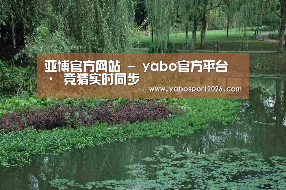 案例展示一