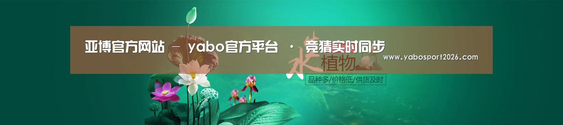 鲜花水草花卉网站模板